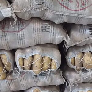 Bolsa de papa